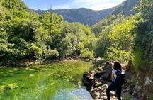 Half-day Private Tour in Skadar Lake