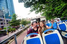 Kuala Lumpur Private Day Tour [8 Hours] [23 Attractions Covered]
