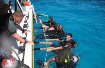 Punta Cana Reef Diving Adventure Explore Underwater Wonders