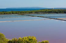 TOUR around the JEWELS of IBIZA SALT BEDS, ES VEDRA, TIME & SPACE
