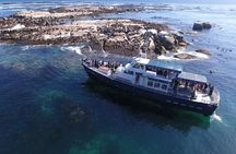 Cape of Good Hope & Penguins from Cape Town Full-Day Private Tour