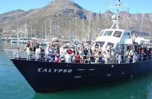 Cape of Good Hope & Penguins from Cape Town Full-Day Private Tour