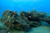 Beach Snorkeling Adventure in Lauderdale by the Sea