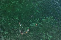 Beach Snorkeling Adventure in Lauderdale by the Sea