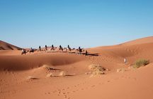 Ouarzazate To Erg Chegaga Dunes & Camel treks in 2 Days 