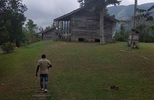 Blue Mountain Sight-Seeing & Nature Trail Hike with Private Guide