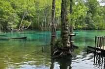 VIP ECO adventure to Cypress Springs by Paddle Board or Kayak
