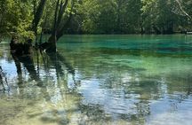 VIP ECO adventure to Cypress Springs by Paddle Board or Kayak