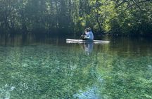 VIP ECO adventure to Cypress Springs by Paddle Board or Kayak