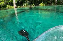 VIP ECO adventure to Cypress Springs by Paddle Board or Kayak