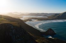 Otago Peninsula In-Depth Tour & Blue Penguins Pukekura Experience