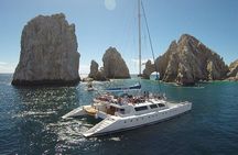 Multimillion Yacht Cruise Sunset Snorkel whale watch Hotel PICKUP
