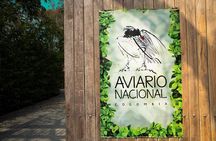 Full day tour aviary with beach in Baru with lunch