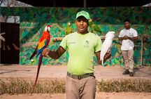 Full day tour aviary with beach in Baru with lunch