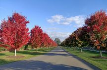 Customized private winery day tour in Yarra Valley at your own choices