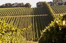 Customized private winery day tour in Mornington Peninsula at your own choices