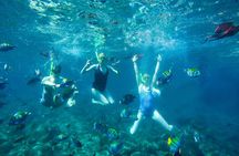 Expedition to the Arch and to the Lands End, with Snorkeling Beach.