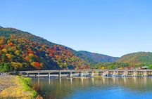 Enjoy Kyoto in Style with a Minivan & Guide!