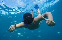 Best Combo Cabo Arch Clear Boat & City Tour La Paz & Todos Santos
