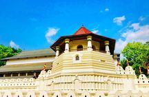 Day Tour to Kandy From Colombo