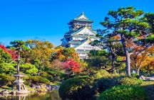 Osaka's Best Gems - Private Shore Excursion from Kobe Ports