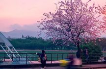 China Education Culture University Campus Guangzhou Private Tour