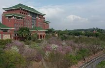 China Education Culture University Campus Guangzhou Private Tour