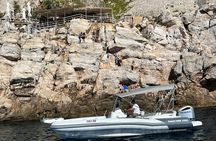 Private Full-Day Tour to Mljet by Speedboat
