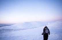Half Day Snowshoe Hiking Adventure in Levi Lapland
