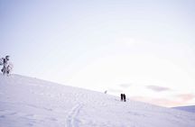 Half Day Snowshoe Hiking Adventure in Levi Lapland
