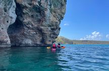 Morning Kayaking Tour to Little Bay