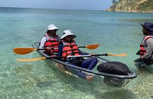 Morning Kayaking Tour to Little Bay