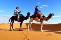 Best Fes to Merzouga Desert Tour 2 Days