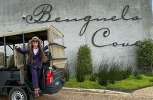 Vineyard Safari and Wine Tasting in Hermanus with Guide 