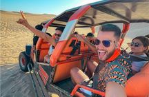 Guided Adventure to Paracas and Huacachina from Lima