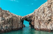 Guided Adventure to Paracas and Huacachina from Lima