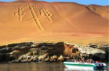 Guided Adventure to Paracas and Huacachina from Lima