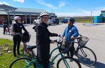 Niagara-on-the-Lake Cycle and Wine-Tasting Tour with Optional Lunch
