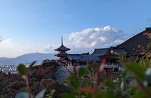 Private Guided Historical Sightseeing Tour in Kyoto