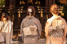 Private Guided Historical Sightseeing Tour in Kyoto