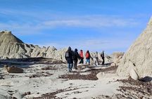 Discover La Leona Petrified Forest: Guided Hiking Tour