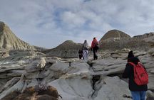 Discover La Leona Petrified Forest: Guided Hiking Tour