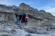 Discover La Leona Petrified Forest: Guided Hiking Tour
