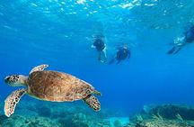 Snorkeling Adventure in Aguadilla