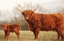 Private Tour - Loch Ness, Highlands & Glencoe Day Trip