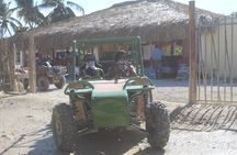 Experience Buggies in Punta Cana