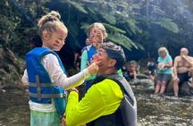 Small-Group El Yunque Rainforest and Waterfall Adventure