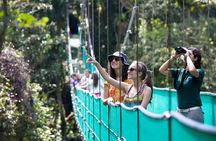 Monteverde Combo: Cable Car, Zipline, Hanging Bridges