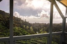 Monteverde Cloud Forest Tour from San Jose