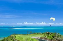 Port Pick-Up: Naha Private Tour Licensed Guide＆ Vehicle